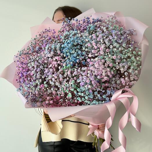 Nube de gypsophila multicolor