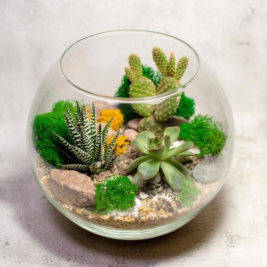 Флорариум M. Зеленая пустыня