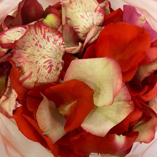 Rose petals