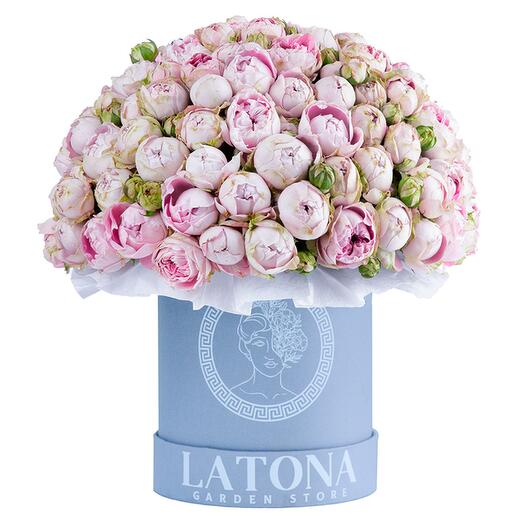 Коробка LATONA с пионовидными розами