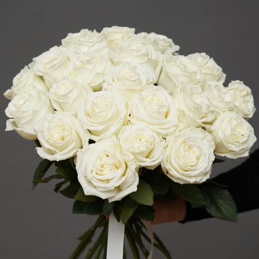 Playa blanca роза эквадор