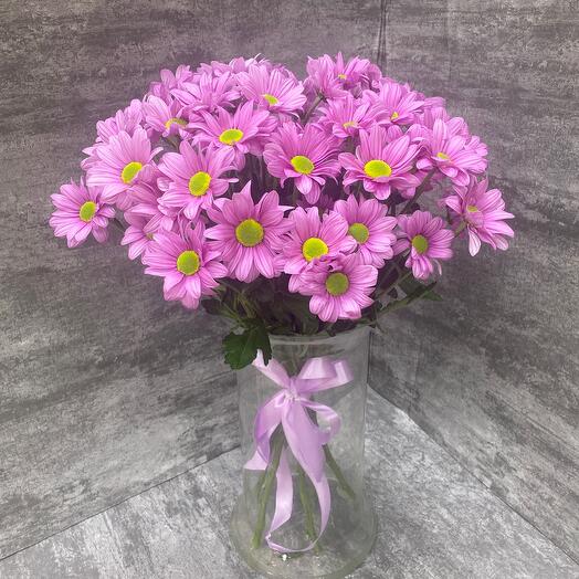 Lilac chrysanthemum