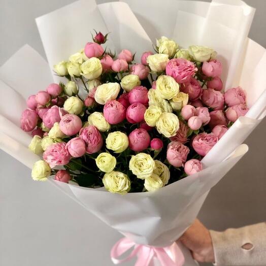 Mezcla de 15 rosas arbustivas