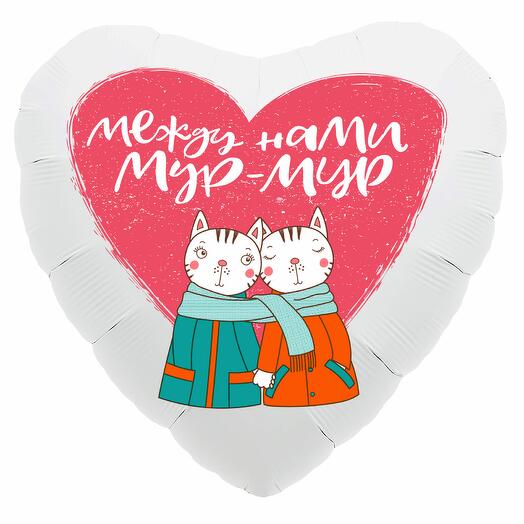 Balloon heart Mur-Mur with helium