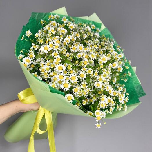 Ромашки