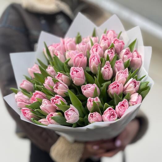 Розовые пионовидные тюльпаны, 51 шт