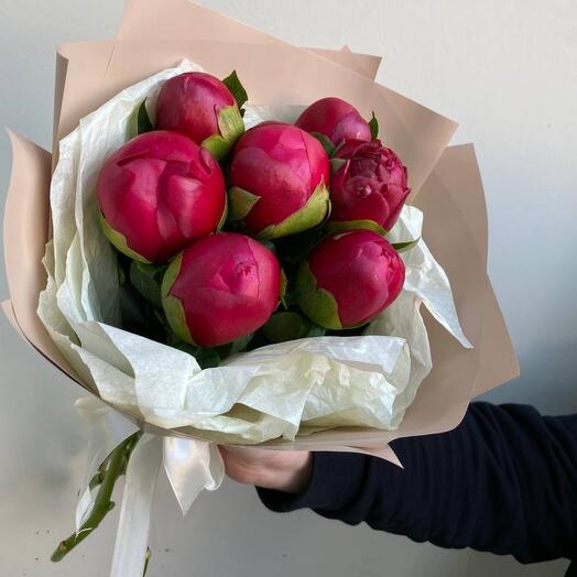 Bouquet of 7 burgundy peonies
