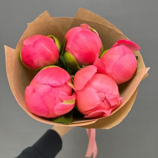 5 Пионы корал шарм (0006) peony