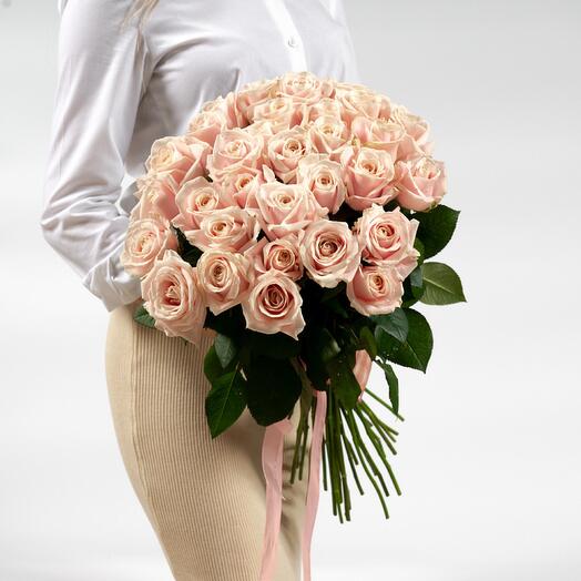 31 Роза Россия🌹
