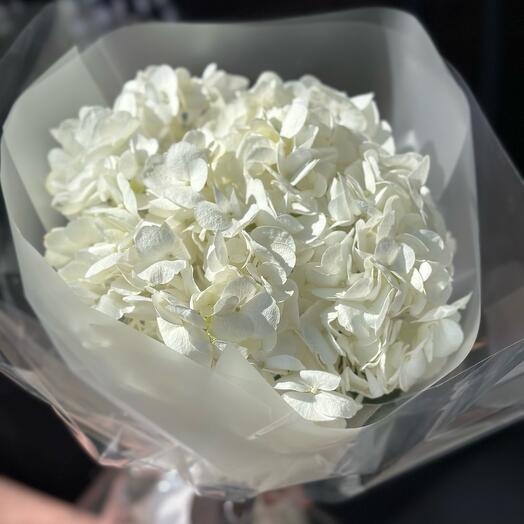 White hydrangea in an elegant package
