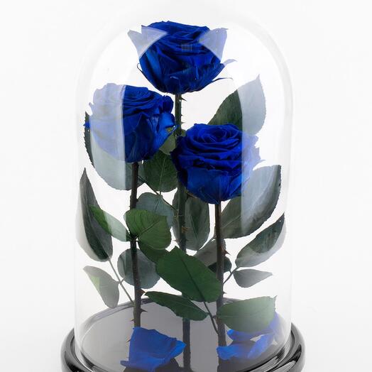 Купить розу в колбе в спб. Цветы в колбе живые. Синий цветок с колбой. Розы в колбе трио.