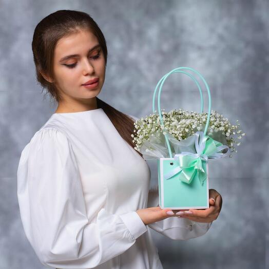 Нежная сумочка с гипсофилой