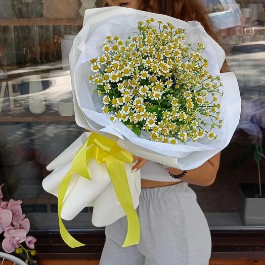 Букет ромашек Поле