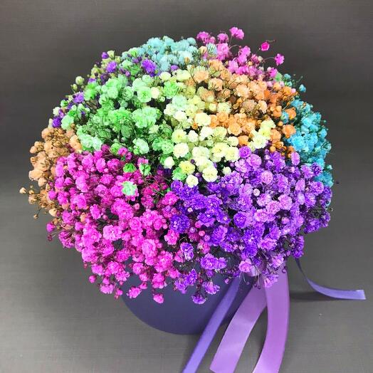 Composition of gypsophila