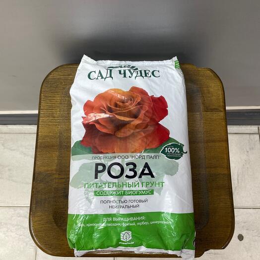 Грунт роза