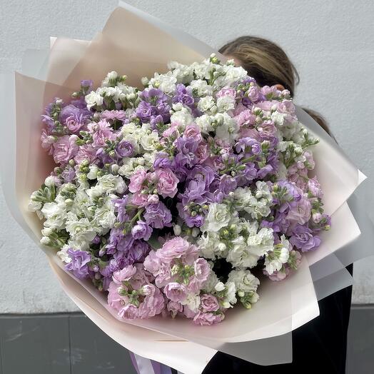 25 кустовых маттиол💜