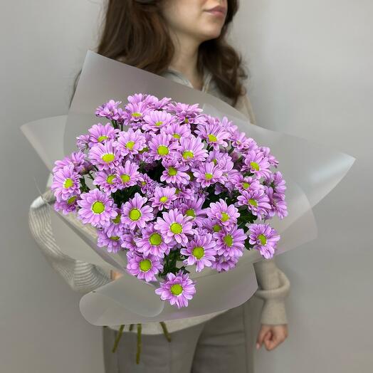 Bouquet of small pink chrysanthemums in a package