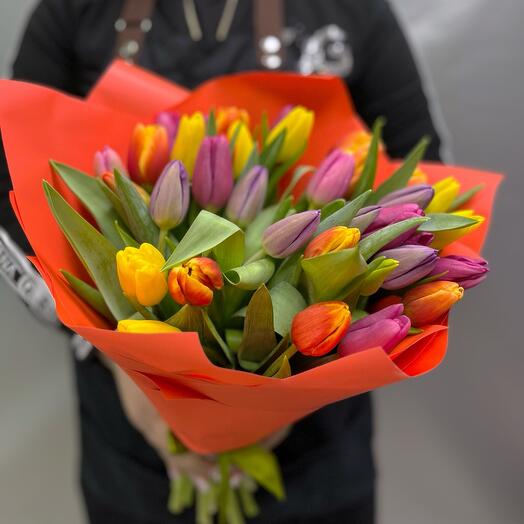 35 mezcla de tulipanes
