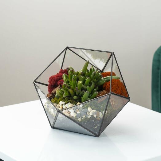 Succulent Hobbit, vase for the florarium "Icosahedron"