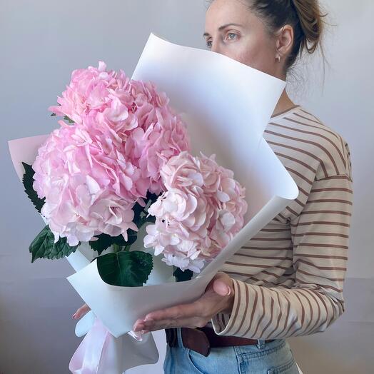 Pink hydrangeas (mono 20)