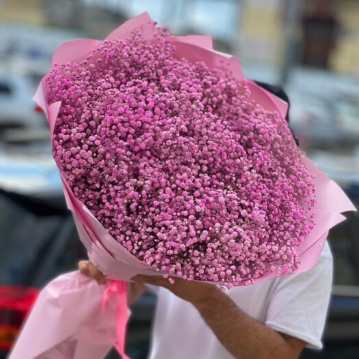 Розовая гипсофила