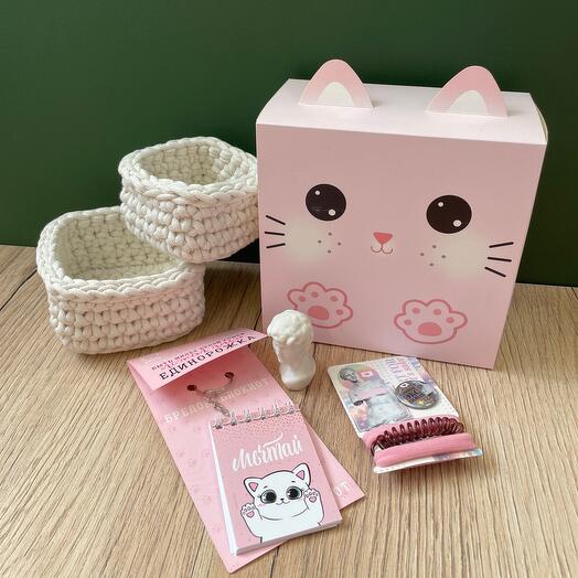 Милый бокс с котиком