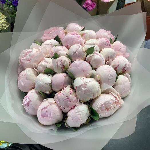 Букет из 25 нежно розовых пионов