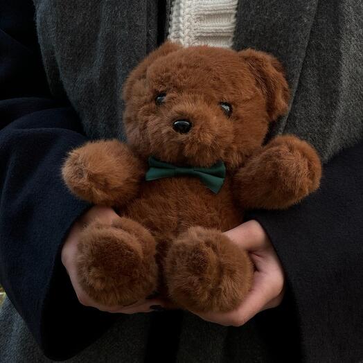 Плюшевый мишка