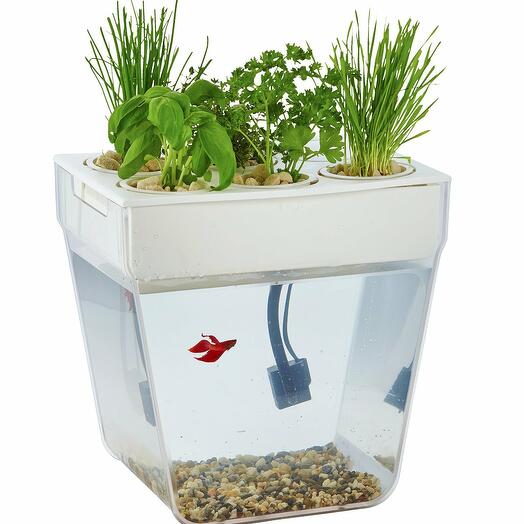 Акваферма AquaFarm