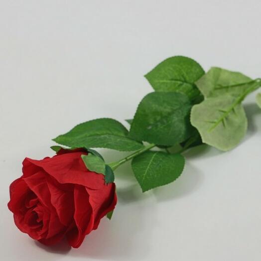 Роза красная