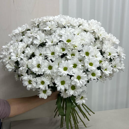 Букет из 25 хризантем
