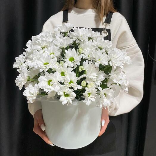 Flowers in a box of daisies