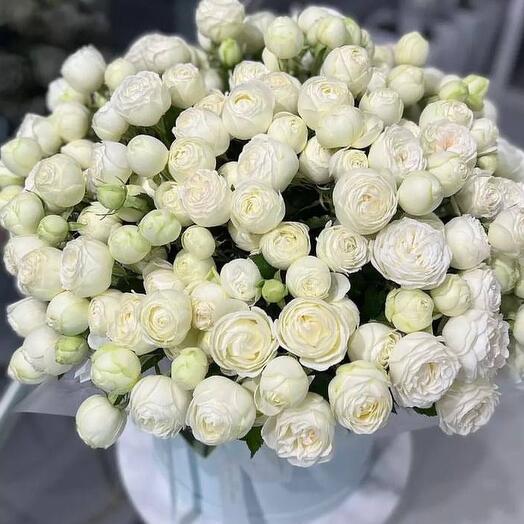 Bushy peony-shaped rose in hatbox