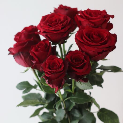 Эквадорские розы 🌹