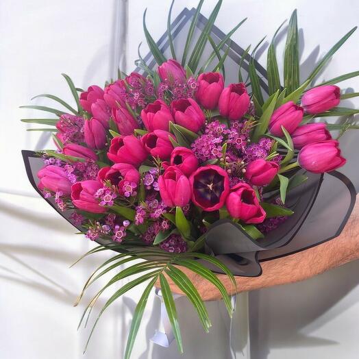 Tulips fushia