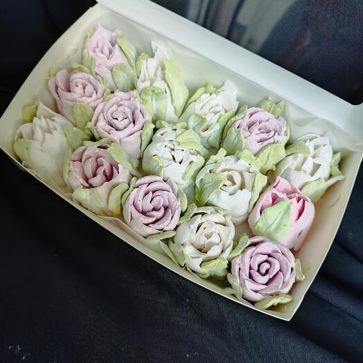 Delicado tulipán de Malvavisco
