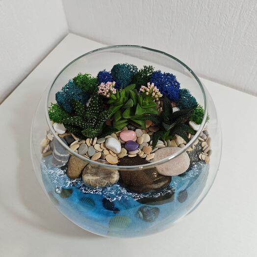 Florarium"Sueño"