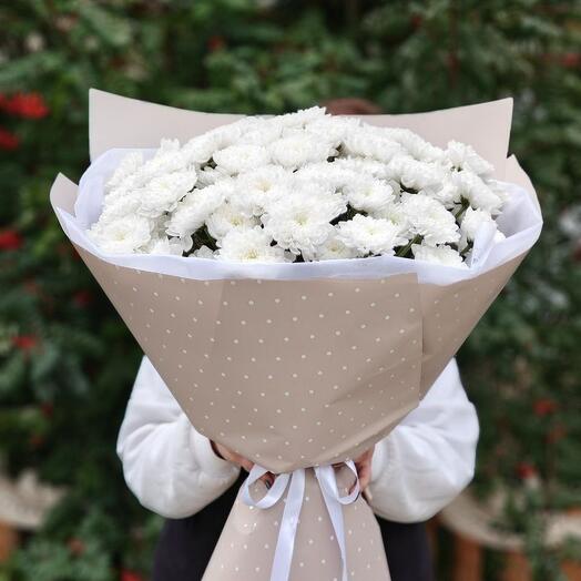 Хризантема Алтай