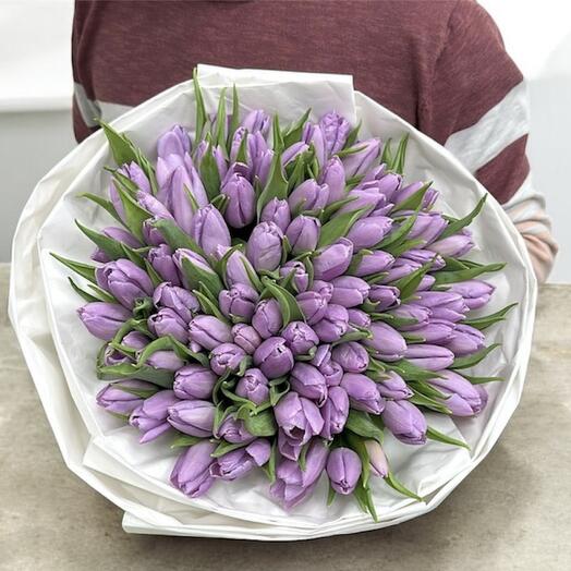 100 purple tulips