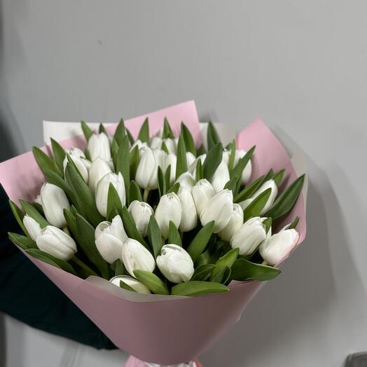 51 white tulip