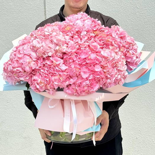 Bouquet of 15 pink hydrangeas