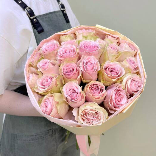 Зелёно-розовые розы в кремовой упаковке, 25 штук