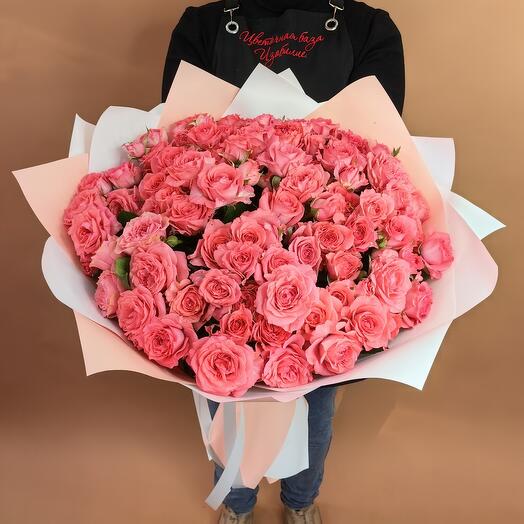 31 rosa Barbados