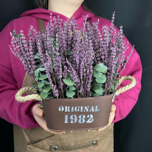 Сухоцветы в кашпо «Original Lavander» ( стабилизированные цветы, лаванда )