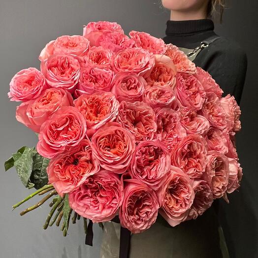 35 пионовидных роз Пинк Экспрешн 💓