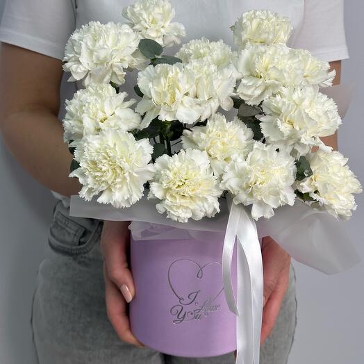 Диантусы в коробке с доставкой