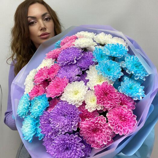 Синие фиолетовые розовые и белые хризантемы