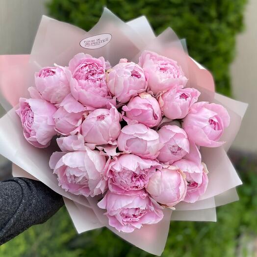 Пионы САРА БЕРНАР 23шт