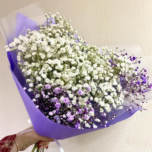 White liver from gypsophila