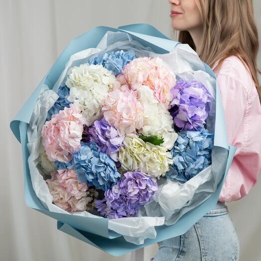 Букет ищ 15 гортензий (микс) Сибирис
